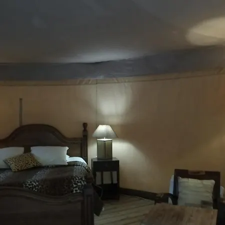 Hotel Prehistoric - Adult Only *