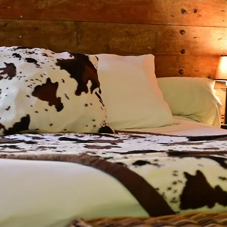Hotel Prehistoric - Adult Only *