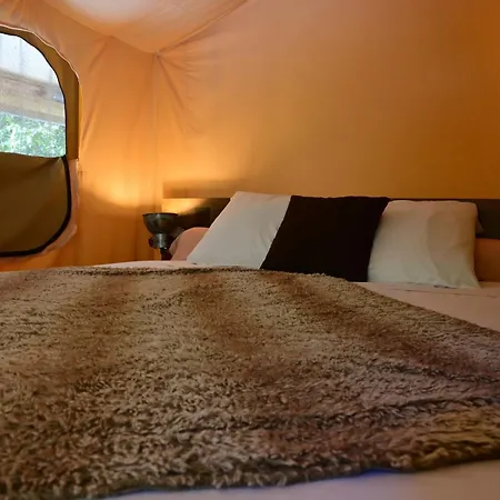 Hotel Prehistoric - Adult Only *